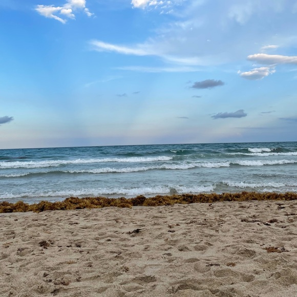 Meet us! One With The Sea - Picture 4 of 10